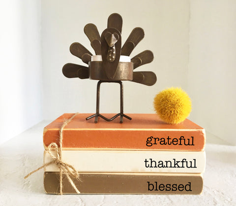 Fall decor, Thanksgiving books, Mini book bundle, Book stack, Turkey t light, Faux books, Tiered tray decor, Thanksgiving, candle holder