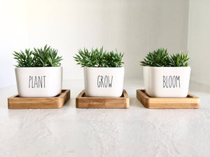 Spring tiered tray, Mother's day gift, Spring decor, Mini succulent pots, Easter decor, Farmhouse decor, Tiered tray decor, kitchen decor,